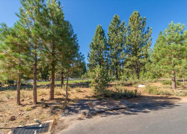 Property at 11312 Wolverine Cir, Truckee, CA 96161
