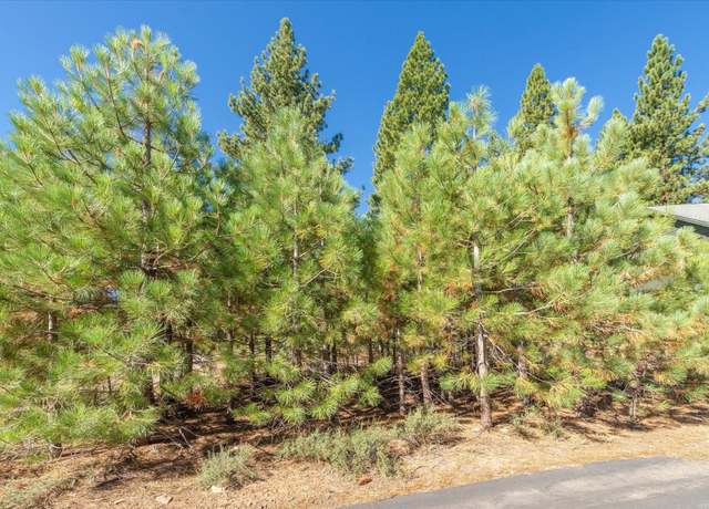 Property at 11304 Wolverine Cir, Truckee, CA 96161