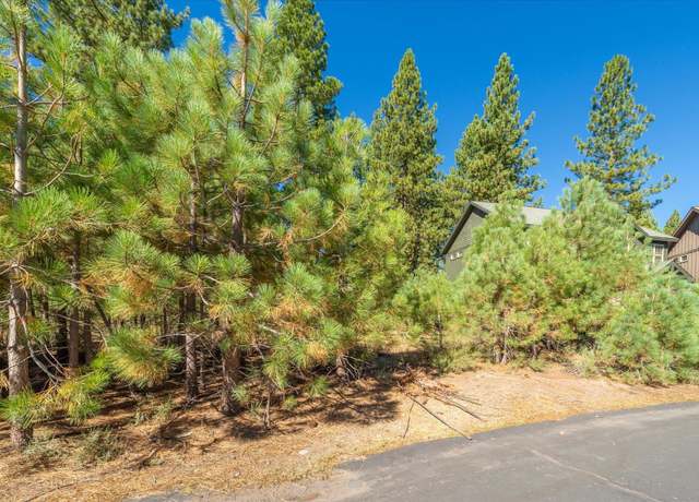 Property at 11300 Wolverine Cir, Truckee, CA 96161