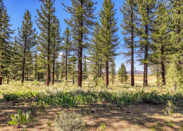 Property at 7445 Lahontan Dr, Truckee, CA 96161