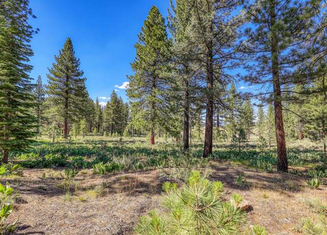 Property at 7455 Lahontan Dr, Truckee, CA 96161