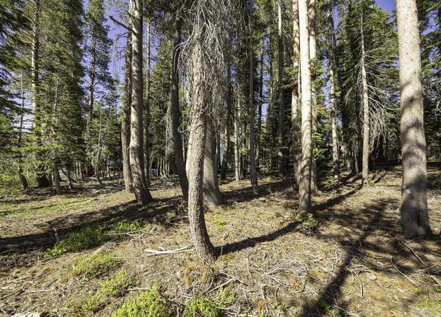 Property at 6636 Yuba Dr, Soda Springs, CA 95728-0000