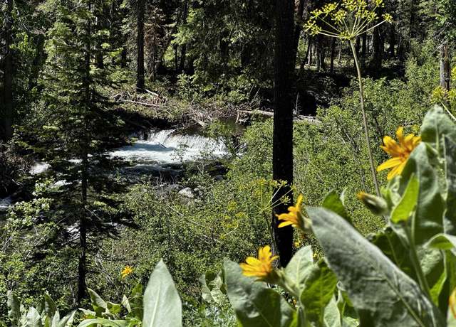 Property at 935 Ward Creek Blvd, Tahoe City, CA 96145