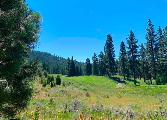 Property at 300 Grizzly Ranch Rd, Portola, CA 96122