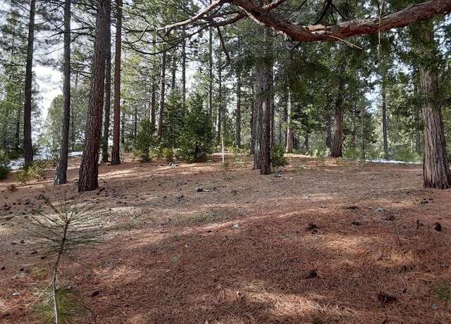 Property at 288 Arrowleaf Rd, Portola, CA 96122