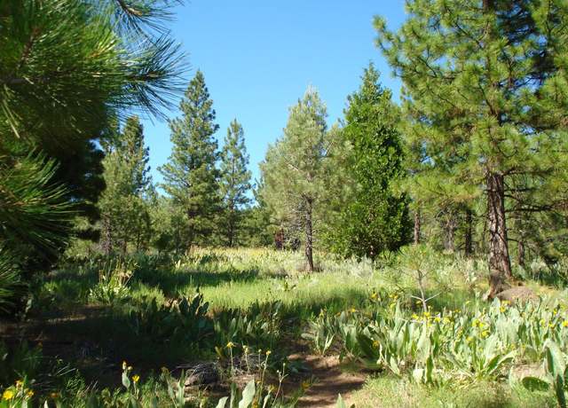 Property at 288 Arrowleaf Rd, Portola, CA 96122
