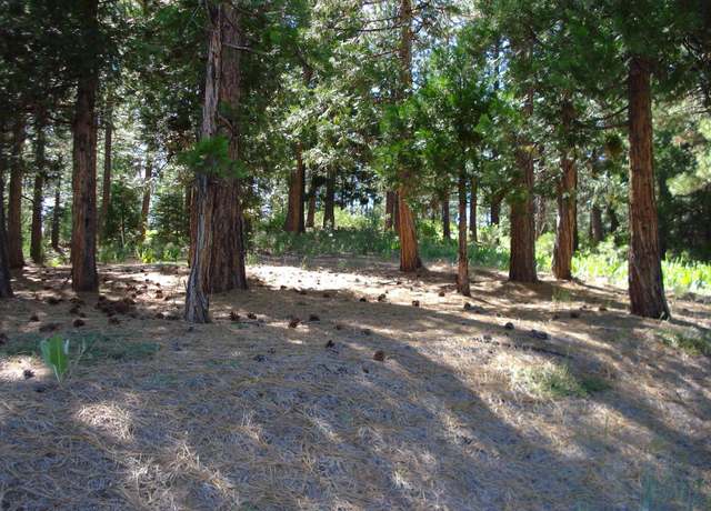 Property at 43 Snowbush Way, Portola, CA 96122