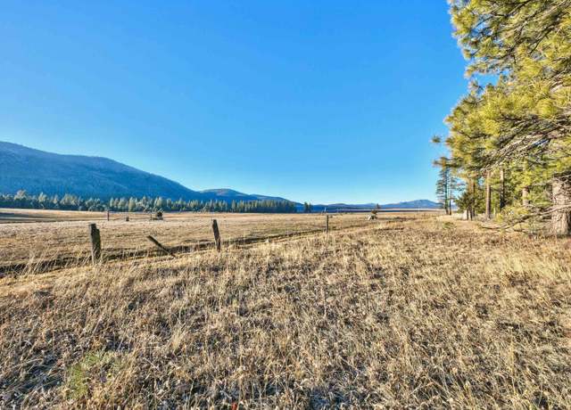 Property at 400 Dante Rd, Sierraville, CA 96126