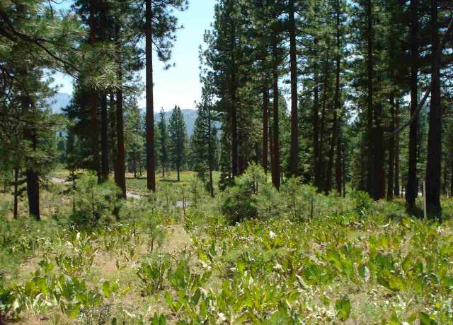 Property at 69 Blacktail Rdg, Portola, CA 96122