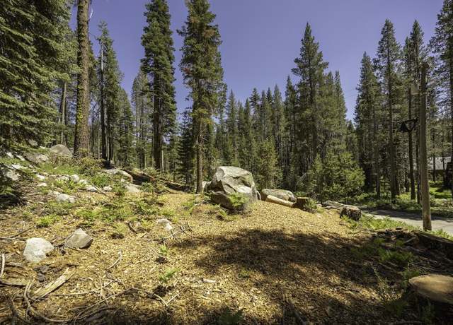 Property at 21864 Lotta Crabtree, Soda Springs, CA 95728