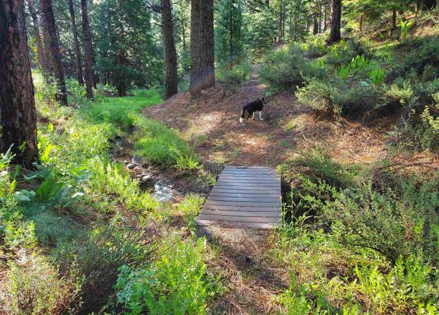 Property at 12 Main St, Calpine, CA 96124