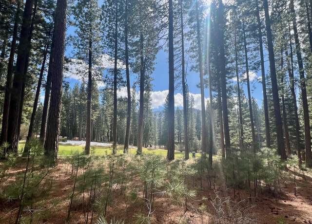 Property at 879 Prospector Dr, Clio, CA 96106