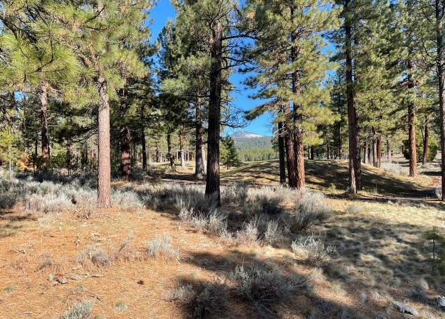 Property at 16 Big Grizzly Rd, Portola, CA 96122