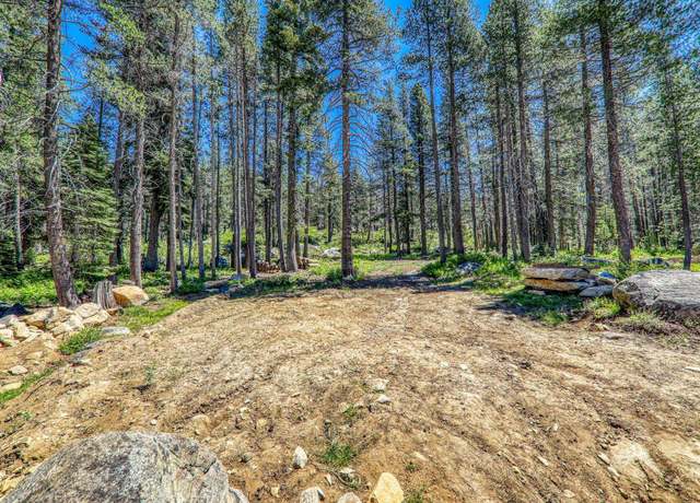 Property at 10019 Bunny Hill Rd, Soda Springs, CA 95728
