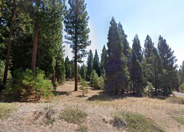 Property at 251 Peppergrass Ln, Portola, CA 96122