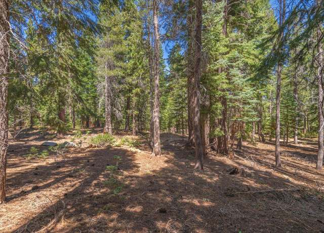 Property at 14590 Copenhagen Dr, Truckee, CA 96161