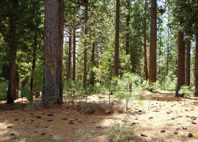 Property at 745 Blacktail Rdg, Portola, CA 96122