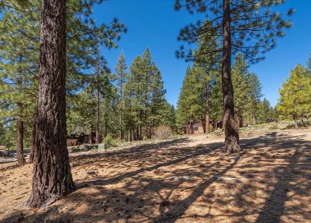 Property at 11555 China Camp Rd, Truckee, CA 96161