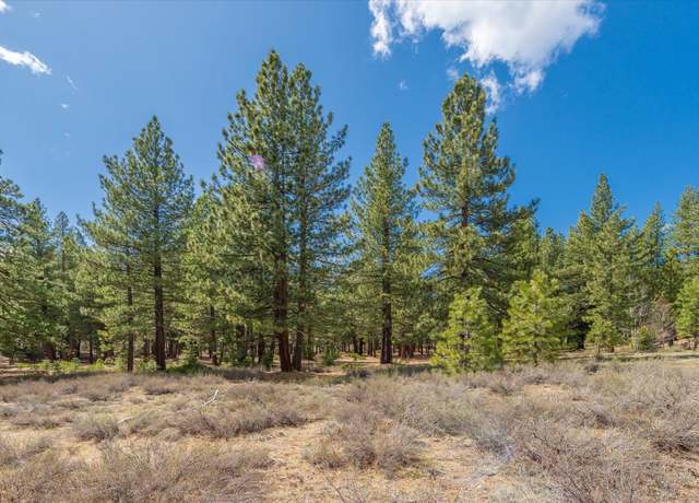 Property at 11690 Bottcher Loop, Truckee, CA 96161