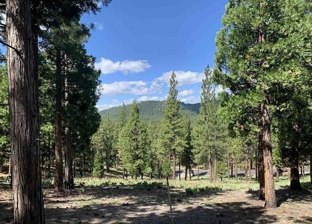 Property at 296 Big Cedar Ln, Portola, CA 96122