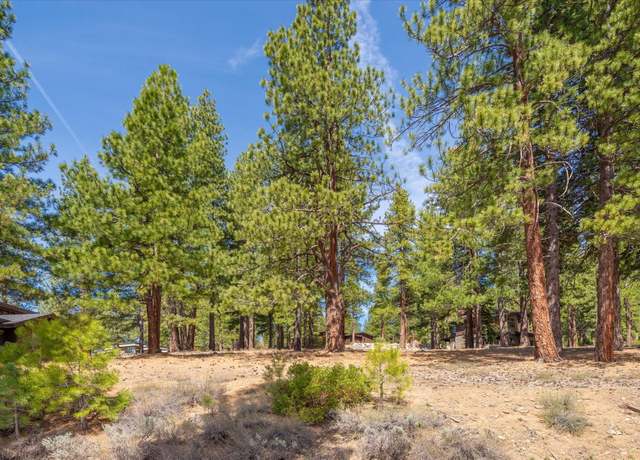 Property at 11422 China Camp Rd, Truckee, CA 96161