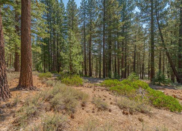 Property at 11523 China Camp Rd, Truckee, CA 96161