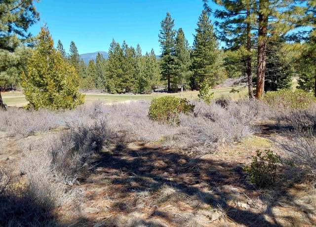 Property at 928 Red Sky, Portola, CA 96122-0000