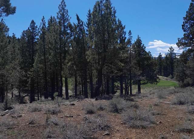 Property at 597 Deer Trl, Portola, CA 96122-0000