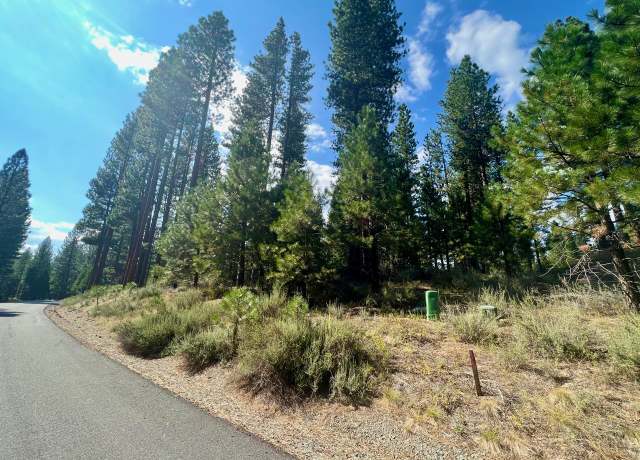 Property at 655 Bobcat Trl, Clio, CA 96106