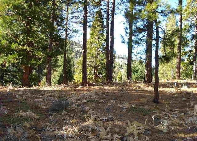 Property at 369 Big Grizzly Rd, Portola, CA 96122
