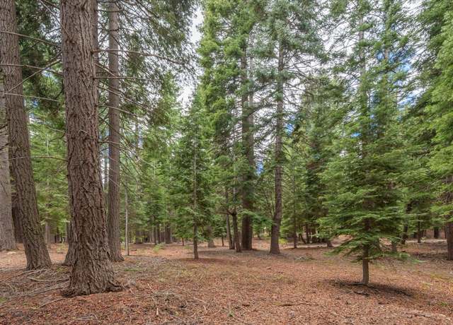 Property at 10986 Innsbruck Ave, Truckee, CA 96161