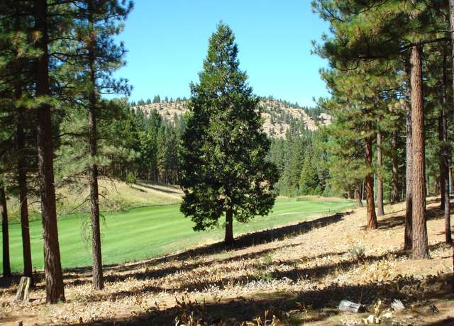 Property at 139 Bird Of Prey Ln, Portola, CA 96122
