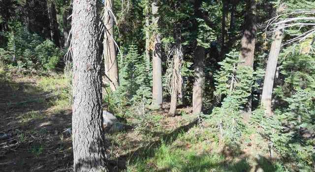 Photo of 6426 Hillside Dr, Soda Springs, CA 95724