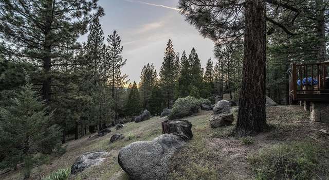 Photo of 978 Dancing Bears, Portola, CA 96122