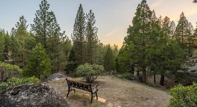 Photo of 978 Dancing Bears, Portola, CA 96122
