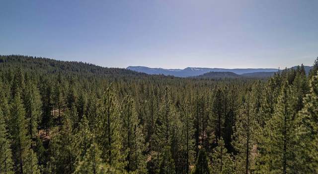 Photo of 924 Dancing Bears, Portola, CA 96122
