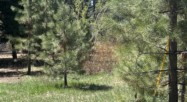Photo of Tiger Ave, Tahoe Vista, CA 96148