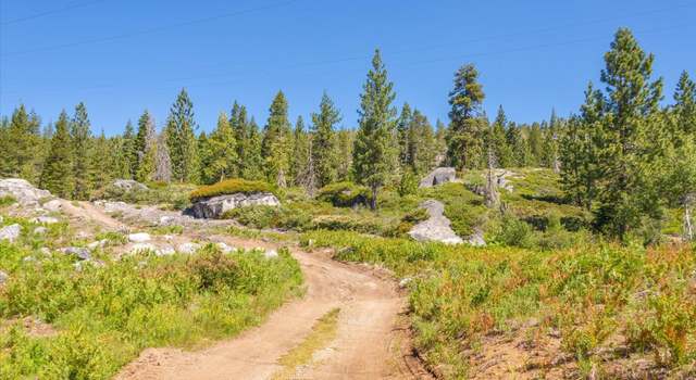 Photo of 0 Hampshire Rocks Rd, Emigrant Gap, CA 95715