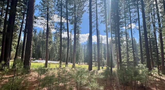 Photo of 879 Prospector Dr, Clio, CA 96106