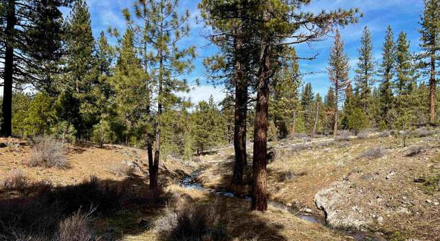 Photo of 450 Emerald Pt, Portola, CA 96122