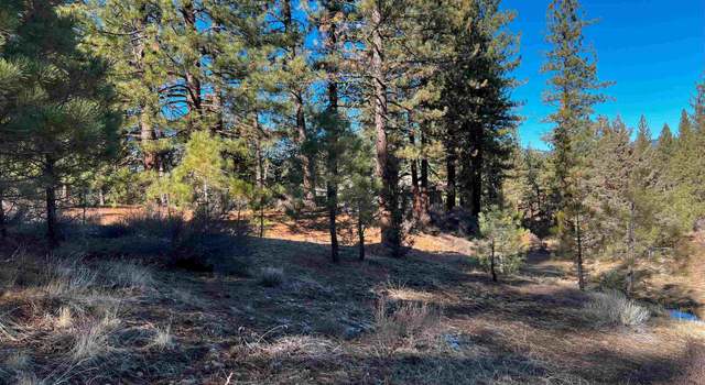 Photo of 450 Emerald Pt, Portola, CA 96122