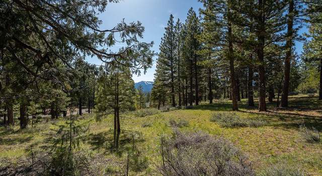 Photo of 1512 Dream Maker, Clio, CA 96106