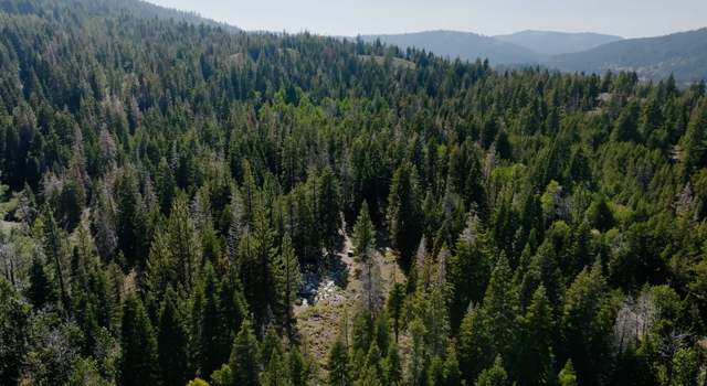 Photo of 0 Henness Pass Rd, Sierraville, CA 96126-0000