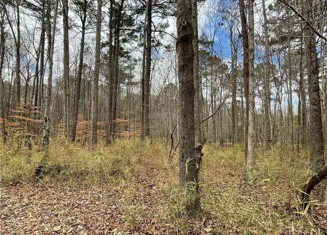 Property at .55ac Clifton St, Suffolk, VA 23435