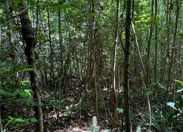 Property at 5.2ac Dutton Rd, Gloucester, VA 23061