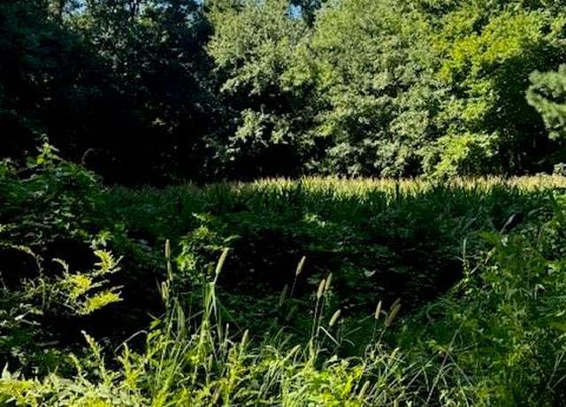 Property at lot NR 15-a-20a Rd, Franktown, VA 23354