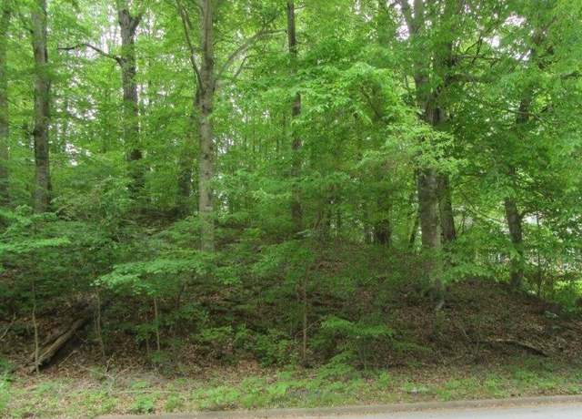 Property at Lots London Bridge (12 & 13a) Dr, Danville, VA 24543