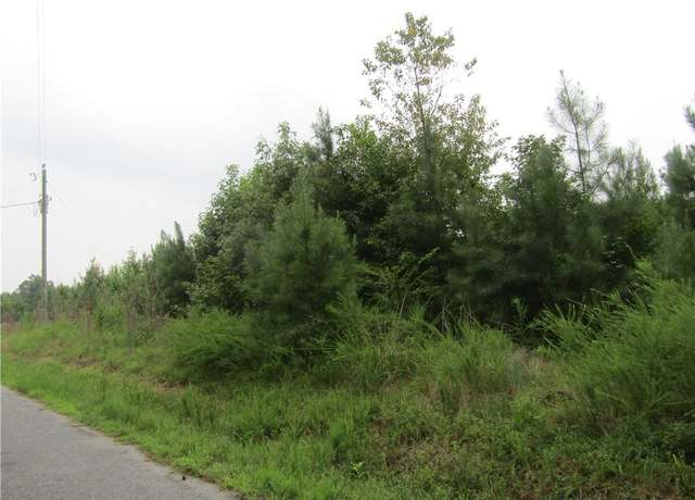 Property at 18acs Lewis Dr, Emporia, VA 23847