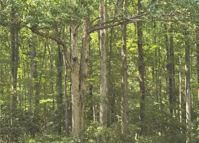 Property at .26+AC Nansemond Pkwy, Suffolk, VA 23434
