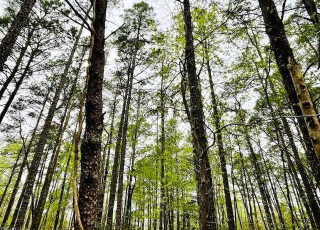 Property at .26 AC Meadowview Ln, Lancaster, VA 22503